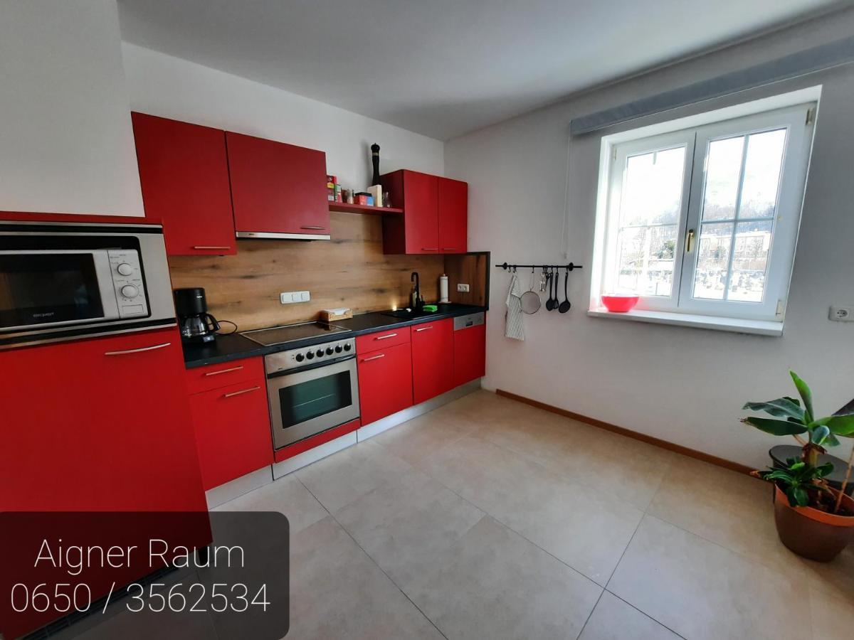 Apartment Aigner Bad Goisern Exteriér fotografie